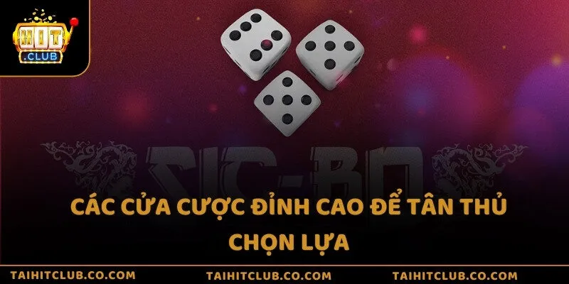 Các cửa cược đỉnh cao để tân thủ chọn lựa