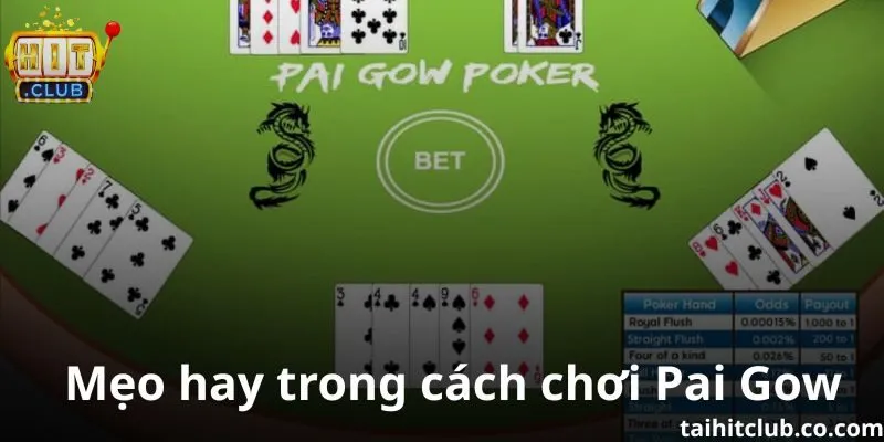 Mẹo hay trong cách chơi Pai Gow